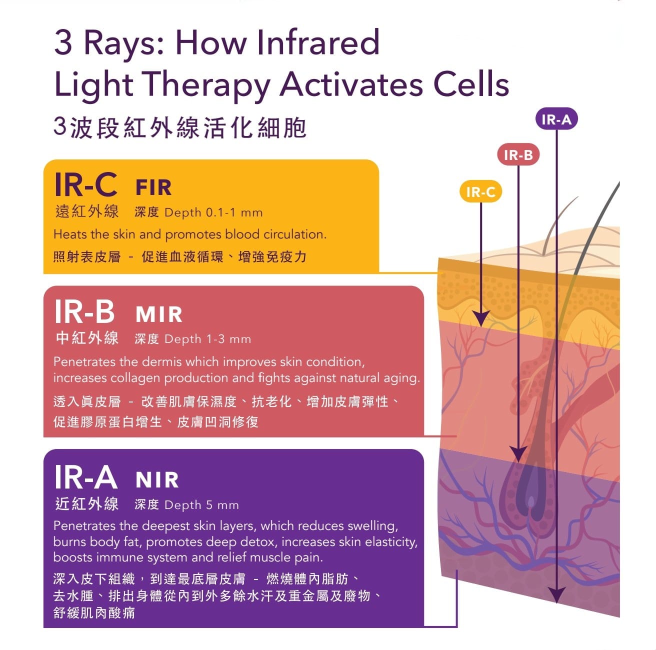 Patented Medical Grade Full Spectrum Infrared Sauna Supported by Science